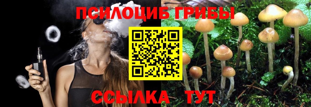Псилоцибиновые грибы MAGIC MUSHROOMS Анапа